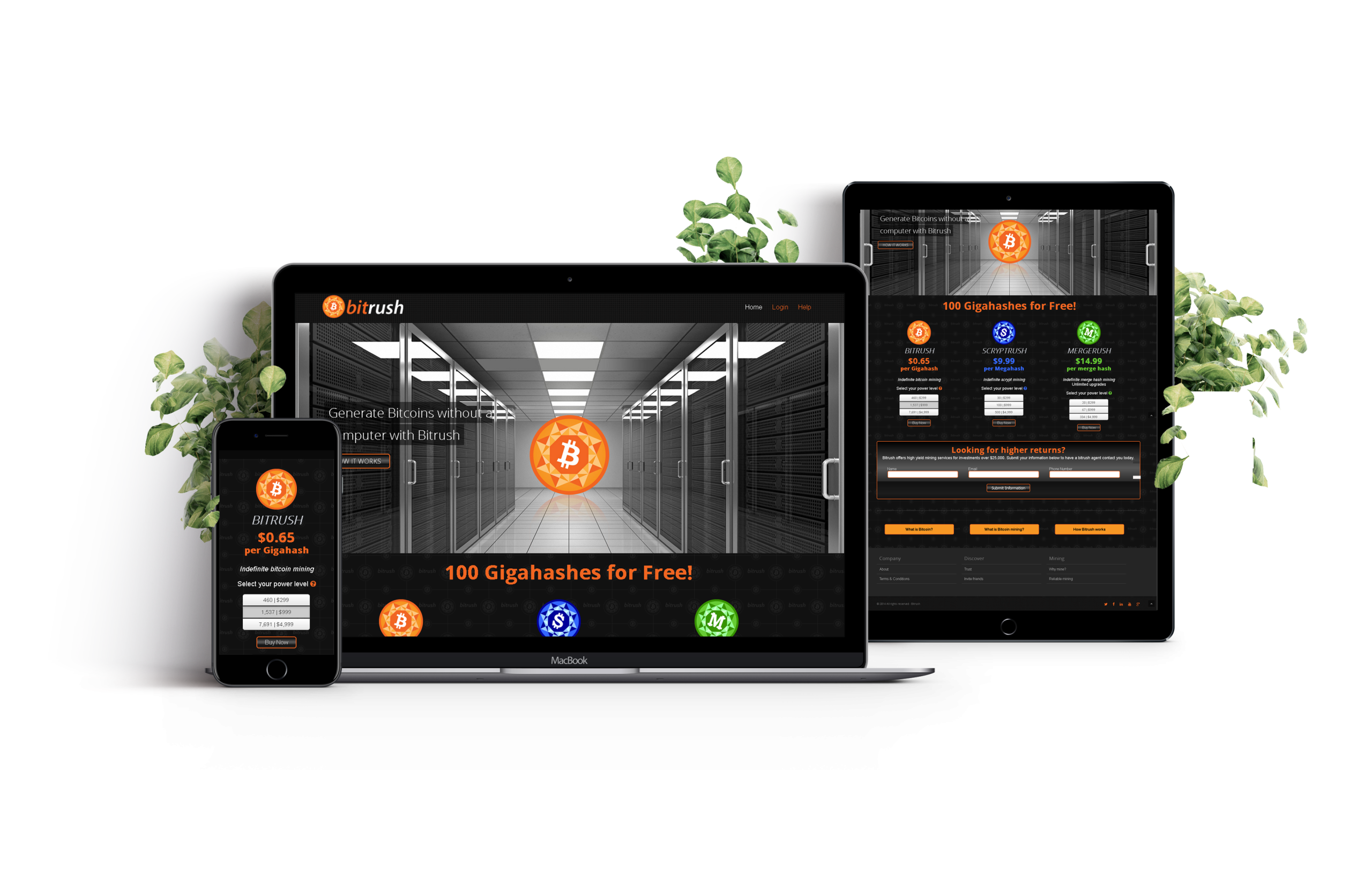 Desktop view of the Bitrush website.